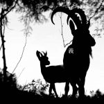 Рецензия: the GazettE — Dogma