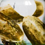 Кортсис — ЕР Засусаль: рецензия Кортсис - ЕР Засусаль