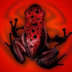 Nonpoint – The Poison Red