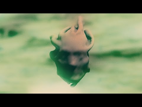 Gojira - The Shooting Star