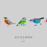 Дельфин - Она