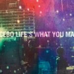 Альбом Placebo – Life’s What You Make It