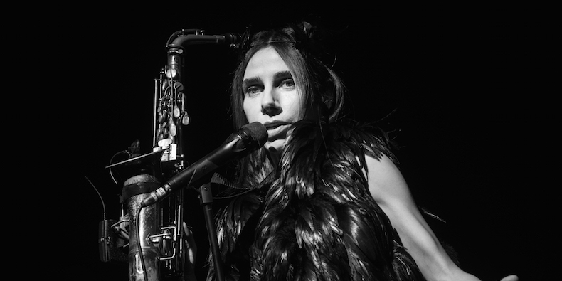 Дневники PJ Harvey