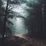 Forest Camp - No One Cares (Neverland. part II)