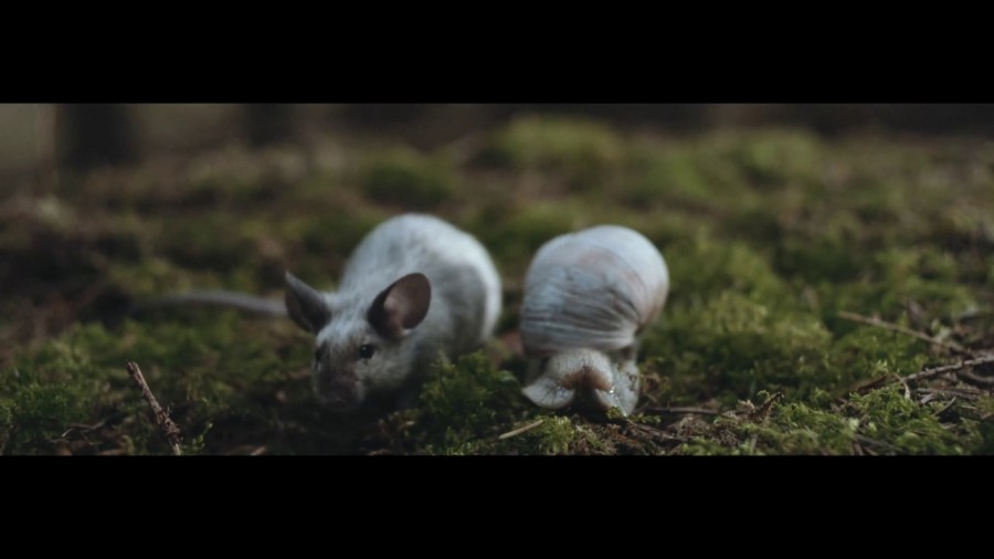 Клип alt-J - In Cold Blood