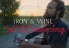 Клип Iron & Wine - Call It Dreaming