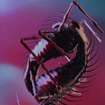 Клип The Horrors — Machine Клип The Horrors - Machine