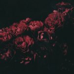 Новый EP Red Red Rose — The Light: наколдуй мне осень… EP Red Red Rose - The Light: