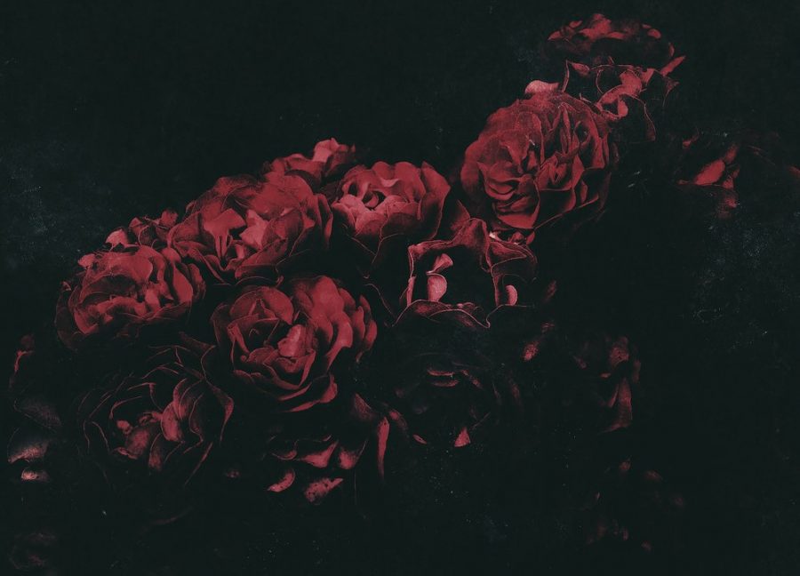 EP Red Red Rose - The Light: