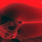 Альбом Tove Lo – Blue Lips: что скрывает красная обложка? Альбом Tove Lo – Blue Lips рецензия