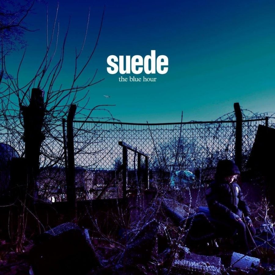 SUEDE - THE INVISIBLES