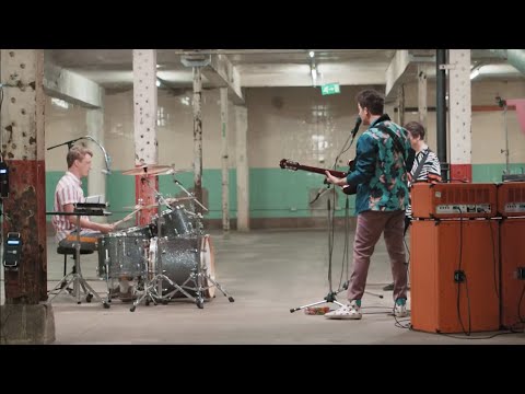 Клип The Wombats - Bee-Sting