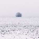 Сингл ANDYLESS — So Now: в эмоции с головой Слушать сингл ANDYLESS - So Now: рецензия