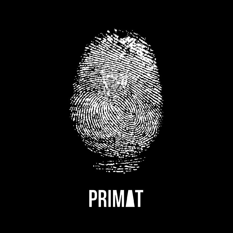 Слушать дебютный альбом группы PRIMAT: рецензия