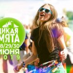 Дикая мята 2019