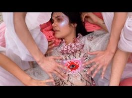 Клип Bat for Lashes - The Hunger