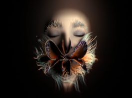 видео Björk — Losss