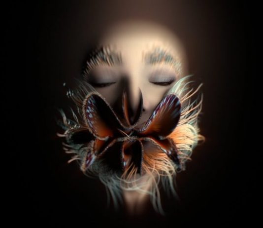 видео Björk — Losss