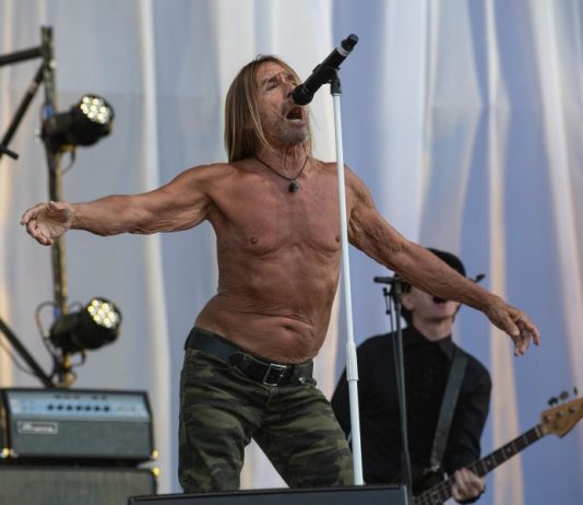 Альбом Iggy Pop — Free: рецензия