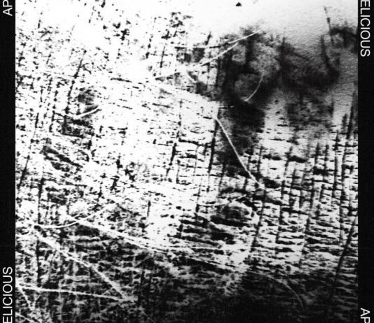 Совместный сингл Health и XIU XIU - DELICIOUS APE