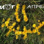 песня группы «Пилот» «Апрель»