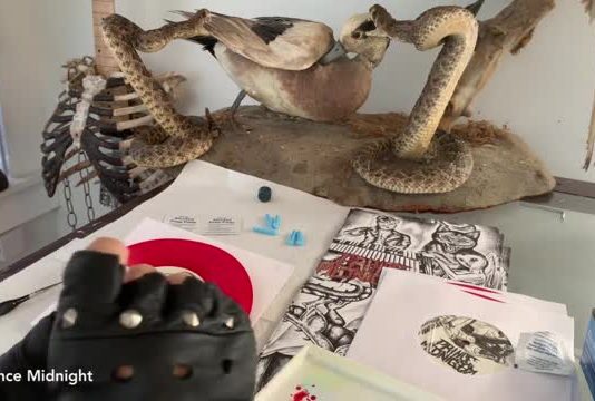 Принц Миднайт